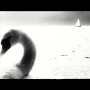 The swan black frame