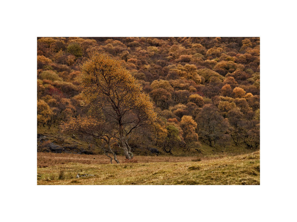 Scotland, mom and child