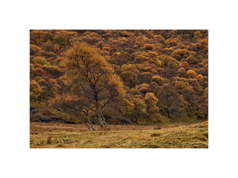 Scotland, mom and child