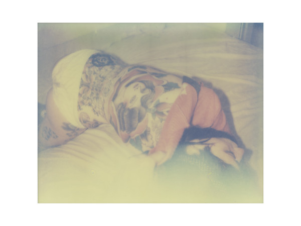 Image211pola